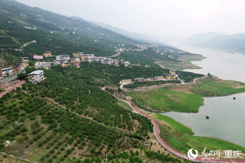 豐都縣安坪鎮(zhèn)三沱村。人民網(wǎng)記者 劉政寧攝